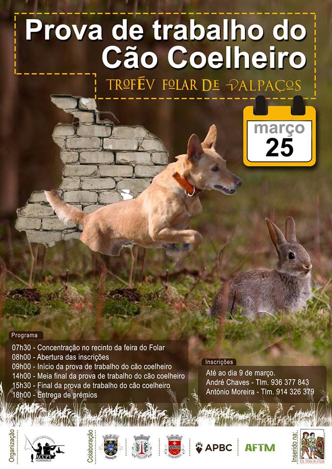 IV Prova de Trabalho do Cão Coelheiro - Troféu Folar de Valpaços